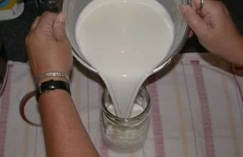 anne sutunden yogurt evde nasil yapilir resimli anlatim (4)